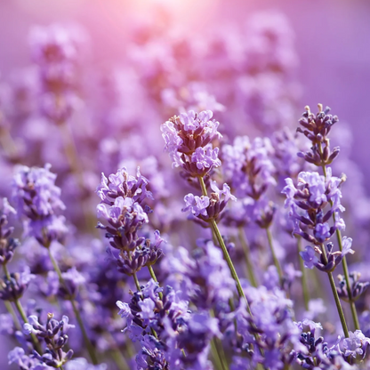 JFT Signature Herbal Cream